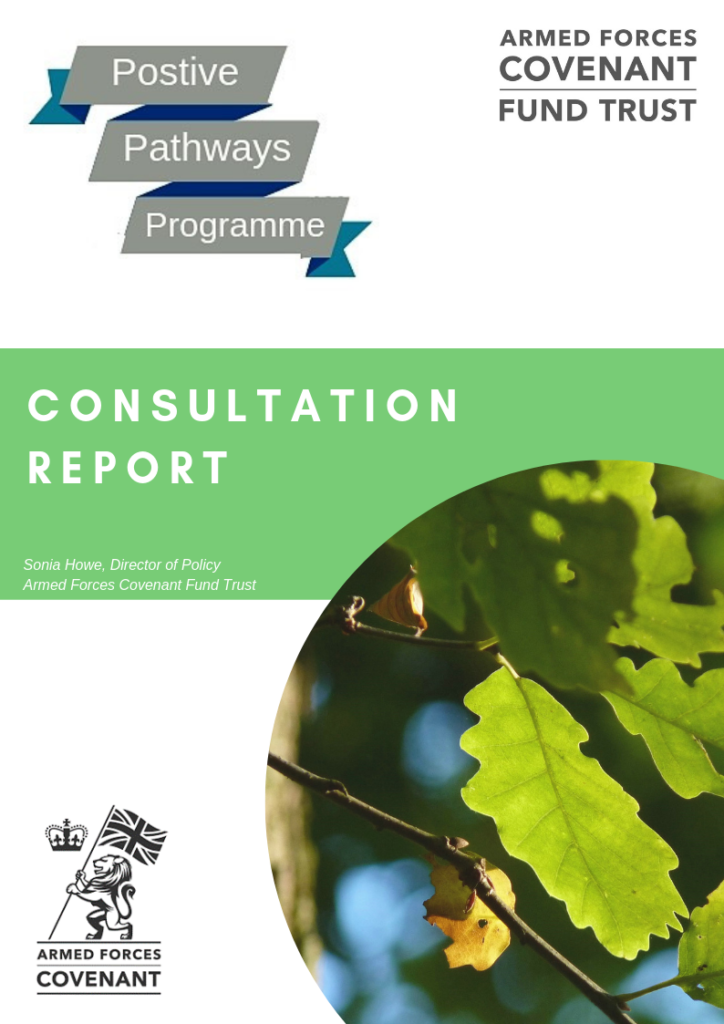 Front cover of Positive Pathways consultation report