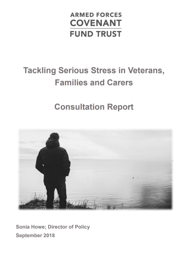 Tacking Serious Stress consultation report