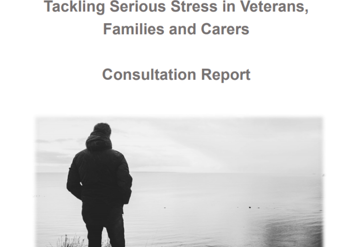 Tacking Serious Stress consultation report