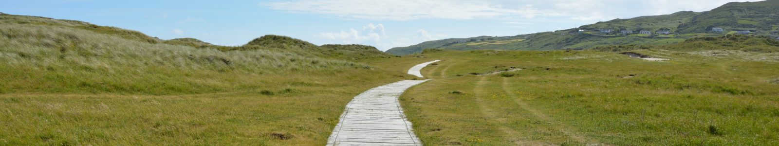 Positive Pathways Programme Logo- a decked path leading to the distance surrounded by green fields