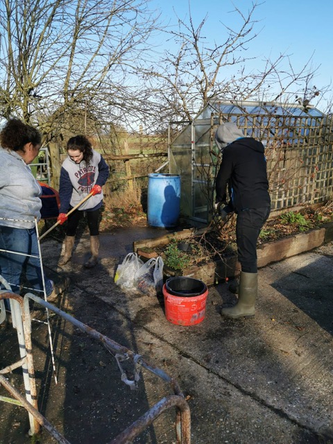 Veterans gardening at the Veteran Growth project