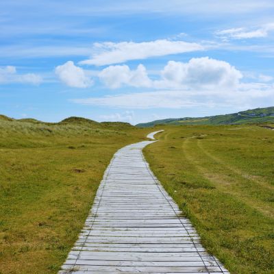 Positive Pathways