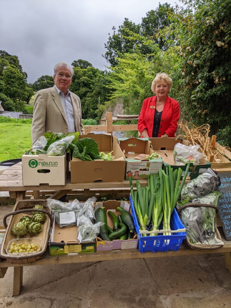 A vegetable growing activity at Brook House