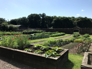 Walled garden at Brooke House - Defence Garden Scheme