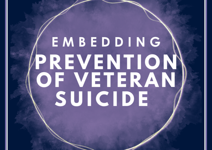 Embedding Prevention of Veteran Suicide programme