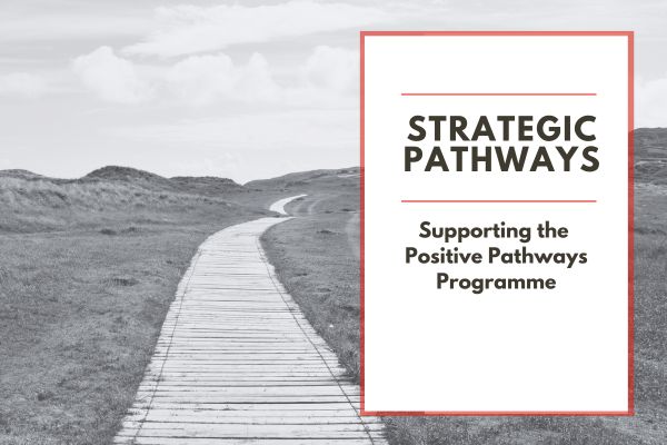 Strategic Pathways programme
